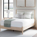 White Solid Wood Upholstered Bed Set with Mattress
